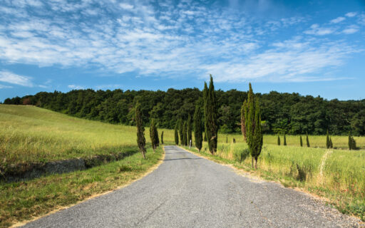 Un viaggio virtuale all’interno della nostra Osteria BIOSTE!