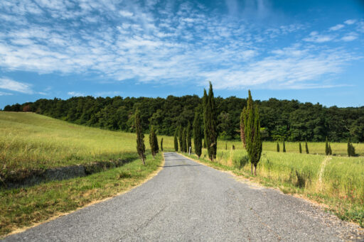 Un viaggio virtuale all’interno della nostra Osteria BIOSTE!