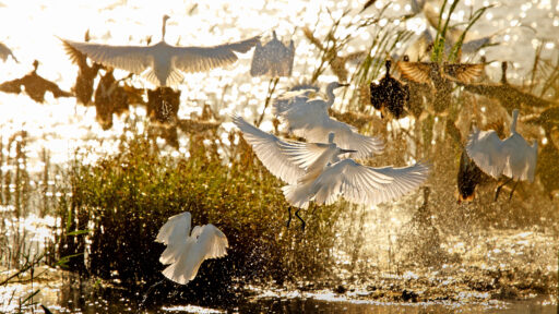 Menzione speciale all’edizione 2017 del concorso FICLU – “LA FABBRICA NEL PAESAGGIO”