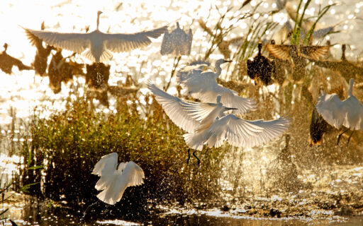 Menzione speciale all’edizione 2017 del concorso FICLU – “LA FABBRICA NEL PAESAGGIO”