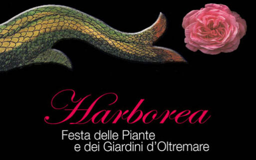 Tenuta Bellavista Insuese ad Harborea: eccoci!