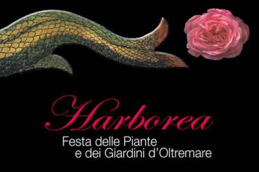 Tenuta Bellavista Insuese ad Harborea: eccoci!