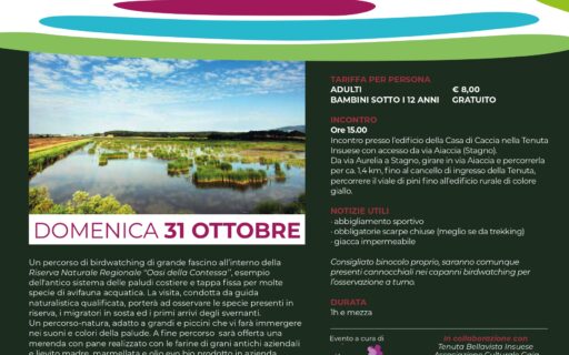 Birdwatching e merenda nell’Oasi della Contessa