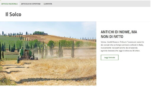 Antichi di nome, ma non di fatto