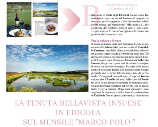 “On the road, lungo la Costa degli Etruschi”