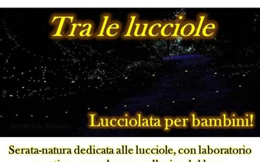 Tornano le lucciolate al Lago Alberto!