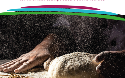 Il profumo dei grani antichi: il nostro pane, dai campi alla tavola