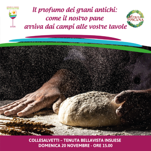 Il profumo dei grani antichi: il nostro pane, dai campi alla tavola