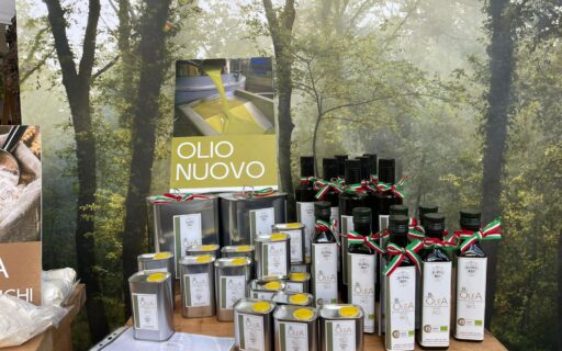 disponibile olio nuovo raccolta 2022