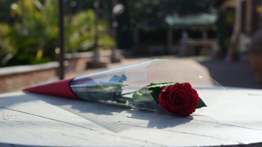 San Valentino: apertura straordinaria di Bioste