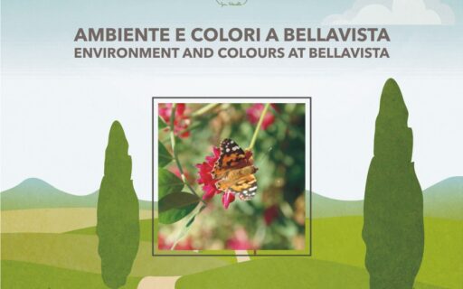 Pasquinelli presenta ambiente e colori a Bellavista