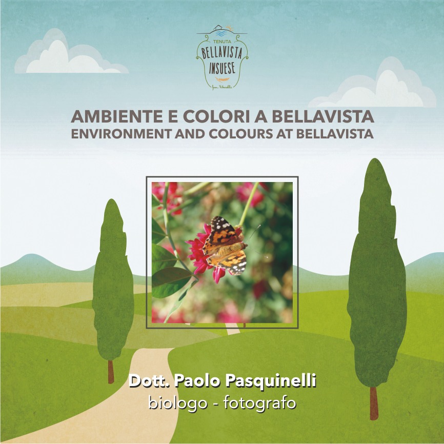 Pasquinelli presenta ambiente e colori a Bellavista