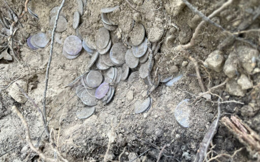 tesoretto di suese 3