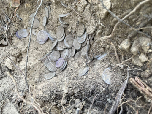 tesoretto di suese 3