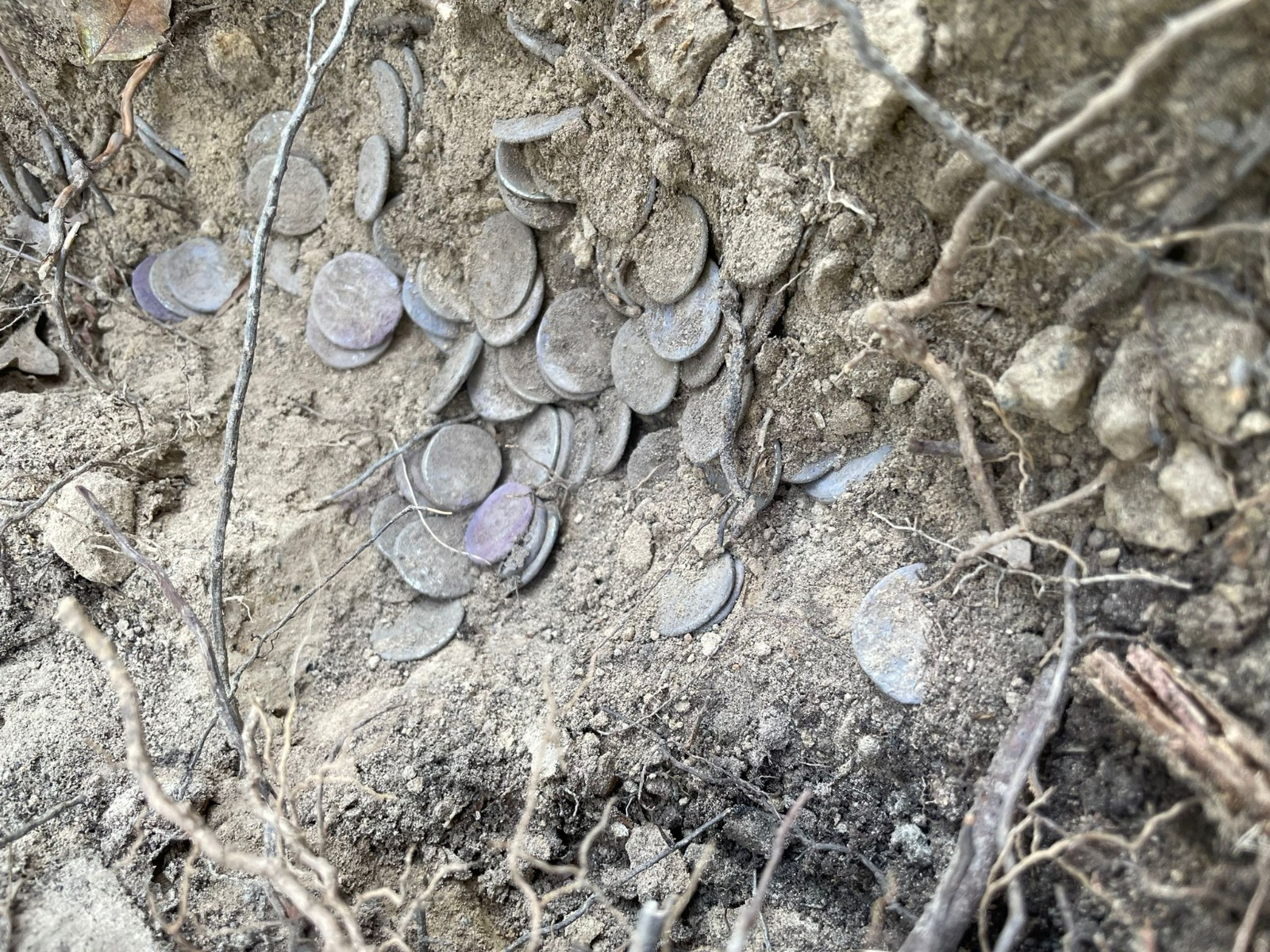 tesoretto di suese 3