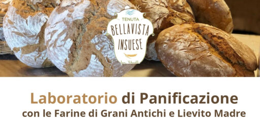 Laboratorio di panificazione – 5 maggio