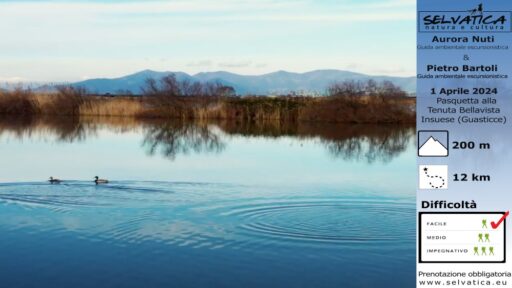 Pasquetta in Tenuta con Selvatica