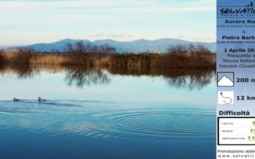 Pasquetta in Tenuta con Selvatica