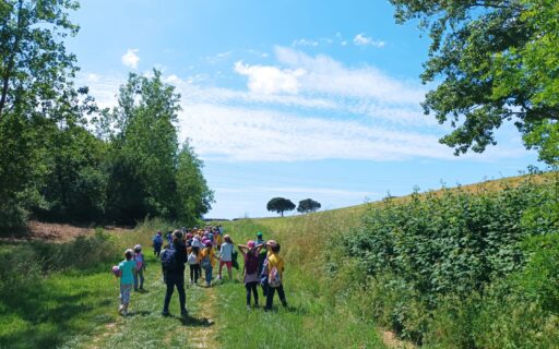 bimbi delle scuole 2