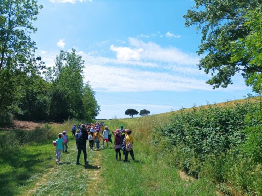 bimbi delle scuole 2