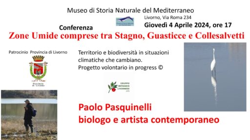 Zone Umide comprese tra Stagno, Guasticce e Collesalvetti