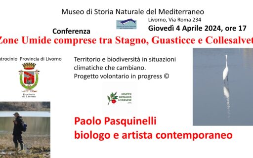 Zone Umide comprese tra Stagno, Guasticce e Collesalvetti