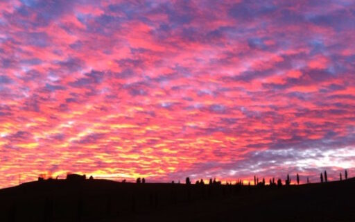 Auguri di buon anno nuovo dalla Tenuta