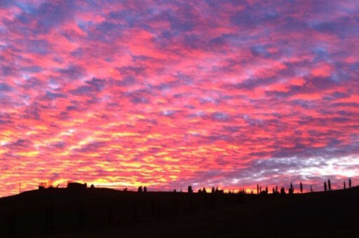 Auguri di buon anno nuovo dalla Tenuta