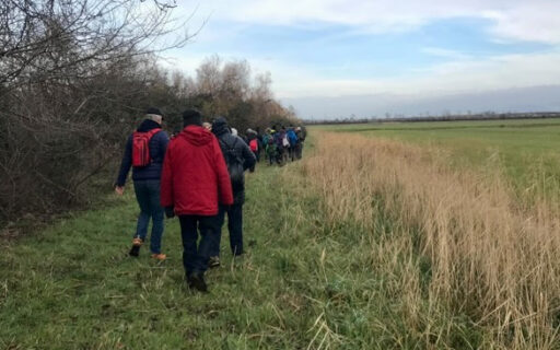 Chi ben comincia… dalla Contessa, buon 2025 a tutti!