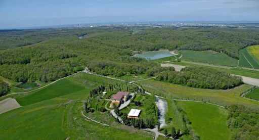 La Tenuta selezionata nel progetto “QM EXPORT per la Blue e Green Economy”