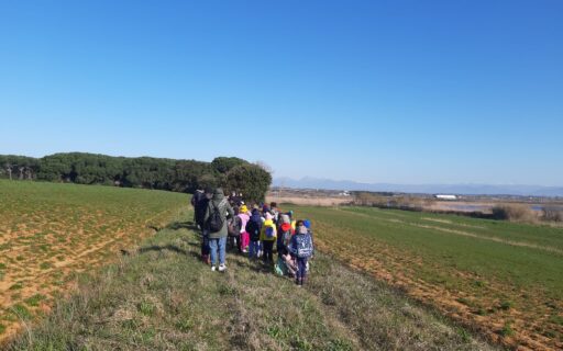 scuole elementari Carducci 1