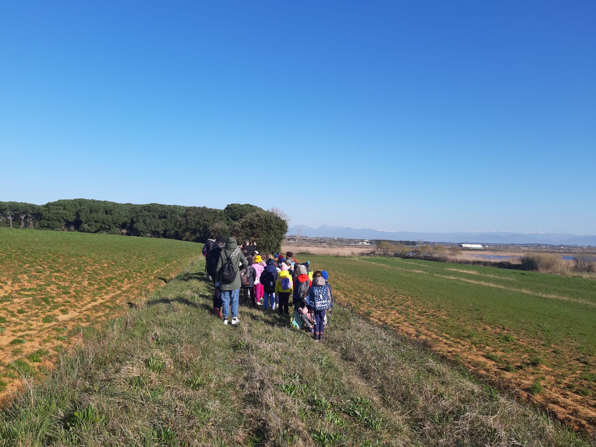 scuole elementari Carducci 1
