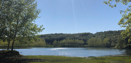 Lago Alberto: estate 2025 riservata a eventi e matrimoni nella natura