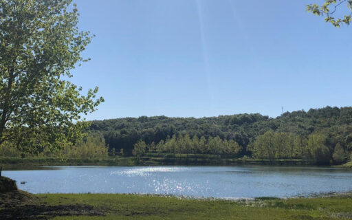 Lago Alberto: estate 2025 riservata a eventi e matrimoni nella natura
