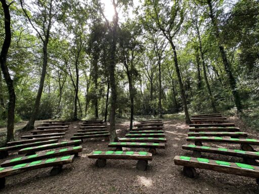 Arena Licia Immersi nella natura