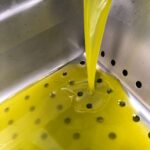 È arrivato l’olio nuovo 2025 della Tenuta Bellavista Insuese
