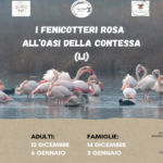 I Fenicotteri Rosa all’Oasi della Contessa – Nuove date